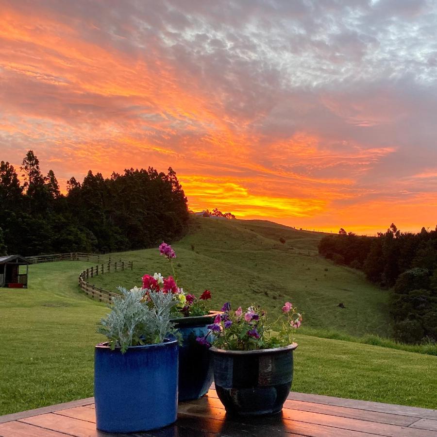 Kauri Glen Bnb Te Arai Exterior photo